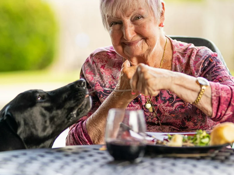 Bon senioralny znowu wraca na tapet. Ale nie będzie obowiązkowy