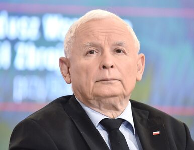 Miniatura: Jarosław Kaczyński o drożyźnie: Rozumiem,...
