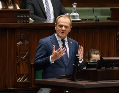 Miniatura: Tusk o Ministerstwie Przemysłu: Śląsk...