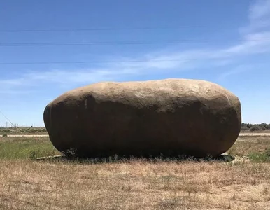 Miniatura: Wakacje w gigantycznym ziemniaku? Osobliwy...