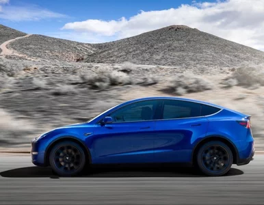 Miniatura: Tesla z rekordowymi wynikami. Strategia...
