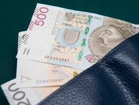 Miniatura: Tyle firm w Polsce planuje podwyżki....