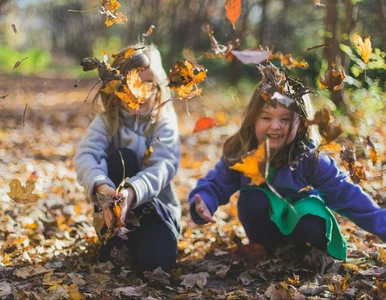 Miniatura: Nieprzypadkowa popularność Wojanków. Napój...