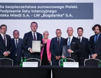 Miniatura: Wspólnie dla bezpieczeństwa surowcowego...