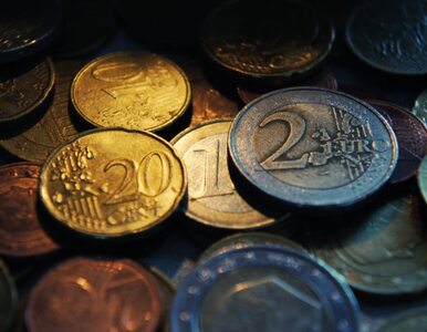 Węgry: nie wprowadzimy euro przez 20 lat