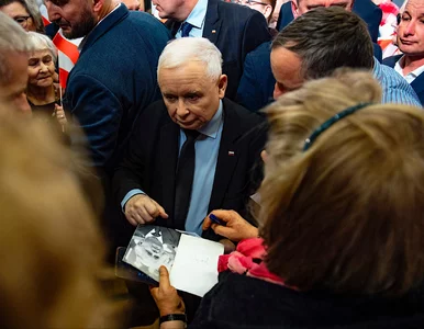 Miniatura: Samorządowcy z PiS dorabiali w spółkach...