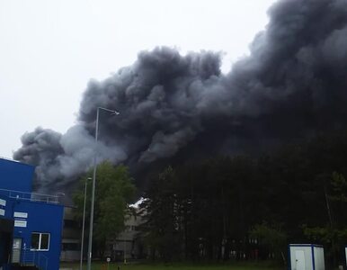 Pożar na terenie Elektrowni Bełchatów. Straż pożarna opanowała sytuację