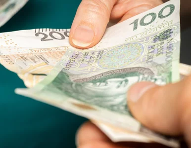 Miniatura: Ponad 17 tys. zł miesięcznie. Oto profesje...