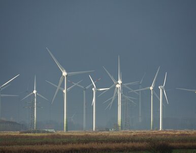 Miniatura: PZU współfinansuje kolejną farmę wiatrową