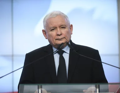 Miniatura: Rząd chce przejąć Żabkę? Ministerstwo...