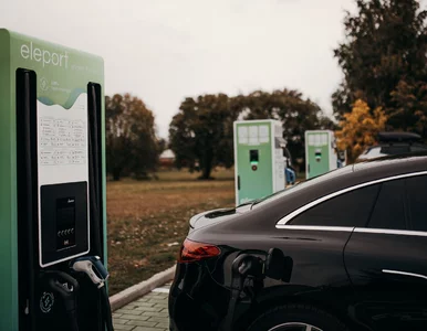 Miniatura: Eleport, dostawca publicznej sieci...