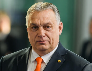 Węgierski rząd martwi się o „trudną sytuację” Rosji. Fidesz planuje...