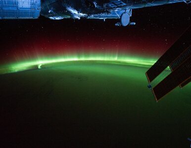 Ziemia rozbłysła na zielono w wideo NASA. Planeta wygląda jak inny świat
