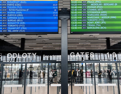 Miniatura: Lotnisko w Radomiu: reaktywacja. Dziś...