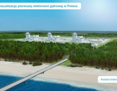 Miniatura: To tu stanie pierwsza polska elektrownia...
