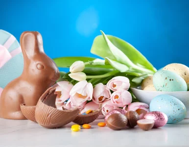 Miniatura: W czwartek wyjątkowe promocje w Lidlu!...