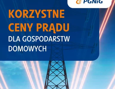 Miniatura: Korzystne ceny prądu dla gospodarstw domowych