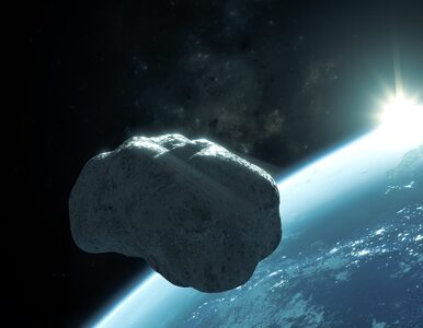 Miniatura: Meteoryt z Ziemi powrócił po tysiącach...