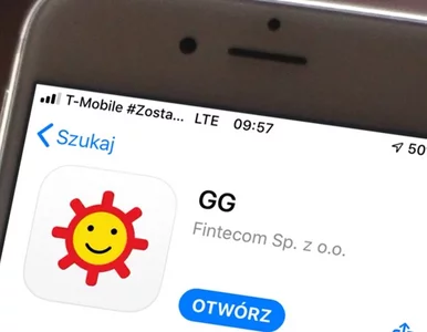 Miniatura: Drugie życie Gadu-Gadu? Właściciel ma...