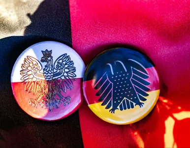Miniatura: Polska łączy się z Niemcami. Na razie...