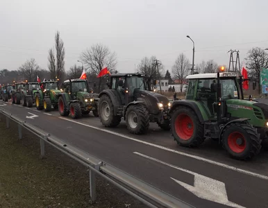 Miniatura: Rolnicy spali na rogatkach. "Noc minęła...