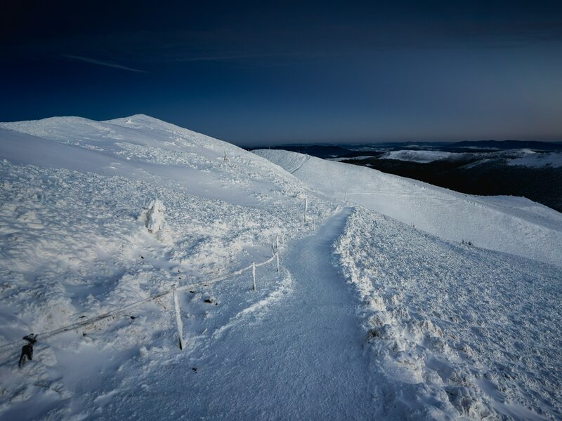 A może tak do pracy w Bieszczady? Można sporo zarobić