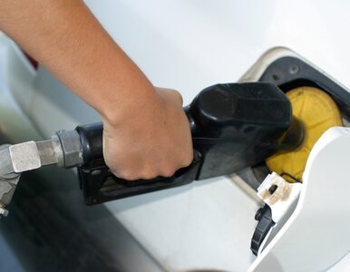 Miniatura: Ceny paliw nie zejdą poniżej 4 złotych za...