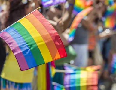 Miniatura: Małopolska uchwała anty-LGBT utrzymana....