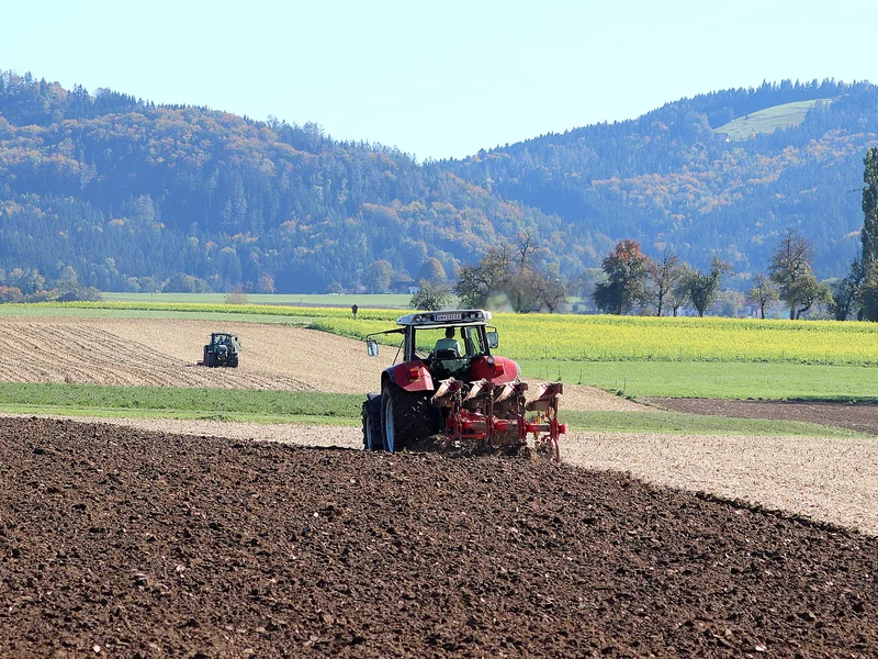 „Unia zyskuje, my płacimy rachunek”. Ekonomista o skutkach UE–Mercosur