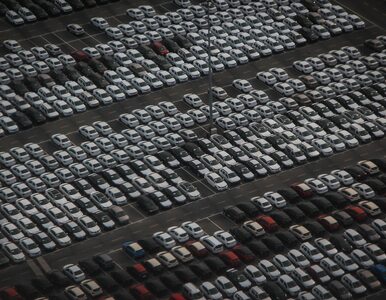 Miniatura: Branża dealerów samochodów to najbardziej...