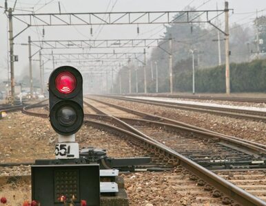 Małopolska wyda 132 miliony na nowe pociągi. Będzie klimatyzacja, Wi-Fi...