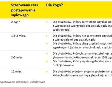 Miniatura: Prawo restrukturyzacyjne otwiera nowe...