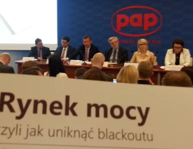 Miniatura: Raport PKEE: rynek mocy jest niezbędny