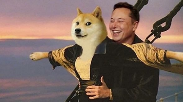 Elon Musk przed sądem. Miliarder miał manipulować kursem Dogecoina
