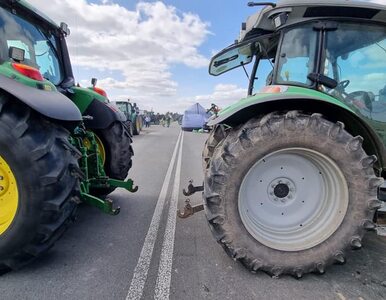 Miniatura: Rolnicy zablokują drogi w co najmniej 44...