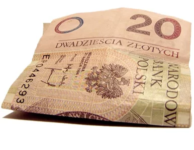 Miniatura: Złoty będzie stabilny?