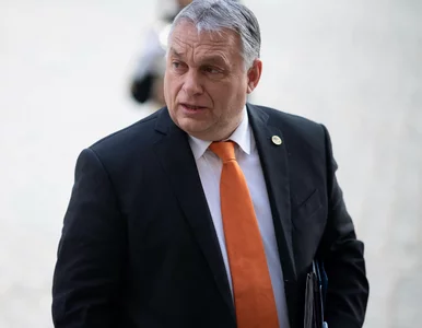 Miniatura: Wojna na Ukrainie. Węgry nie poprą...