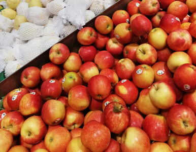 Miniatura: Pestycydy w jabłkach. Owoce można kupić w...