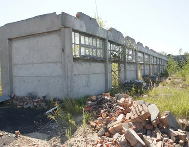 Miniatura: Czy to będzie PGR+? Rząd zapowiada...